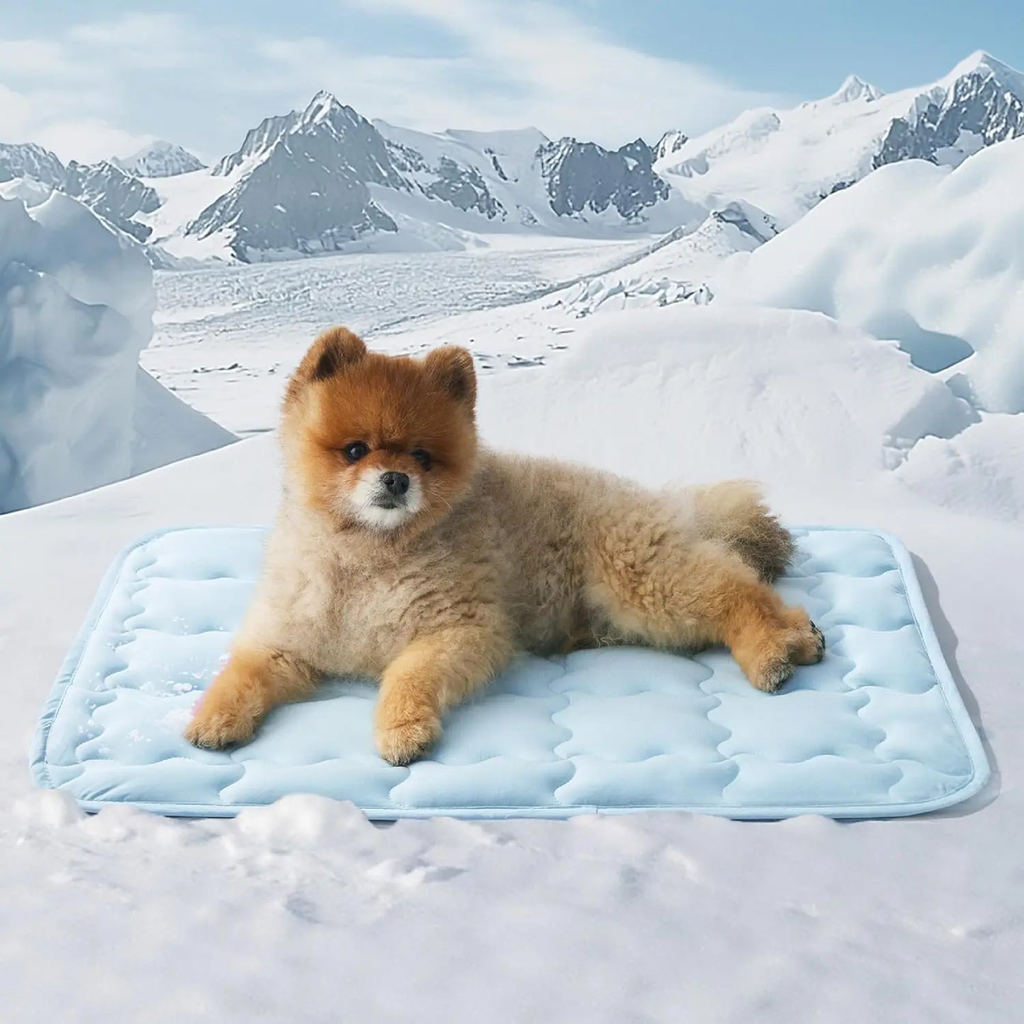 1PC Cooling Pet Mat for Dogs & Cats, Cool Touch Self-Cooling Pad, Portable, Non-Slip & Washable Summer Bed (Q-Max >0.5), Comfortable & Durable
